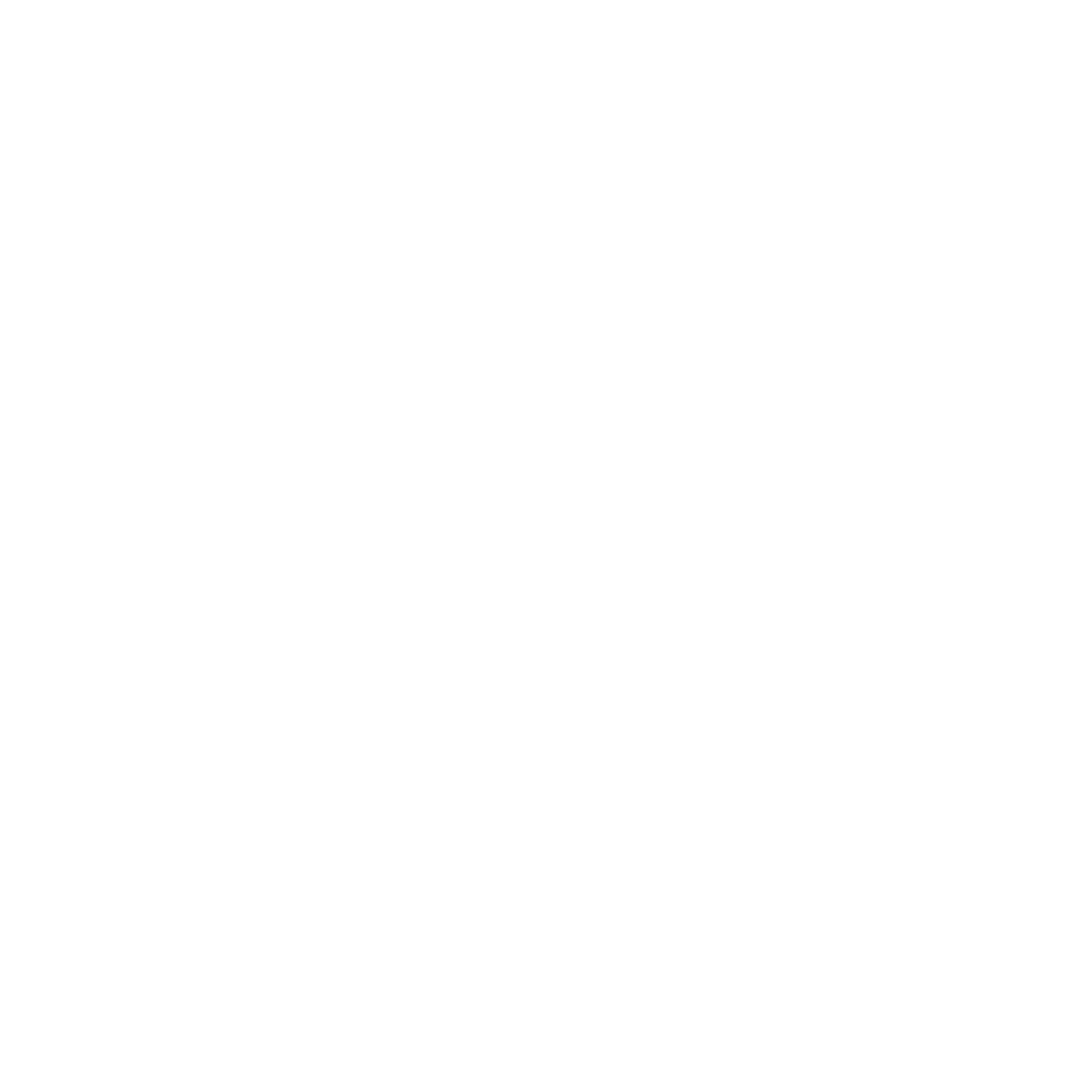 MrPunter